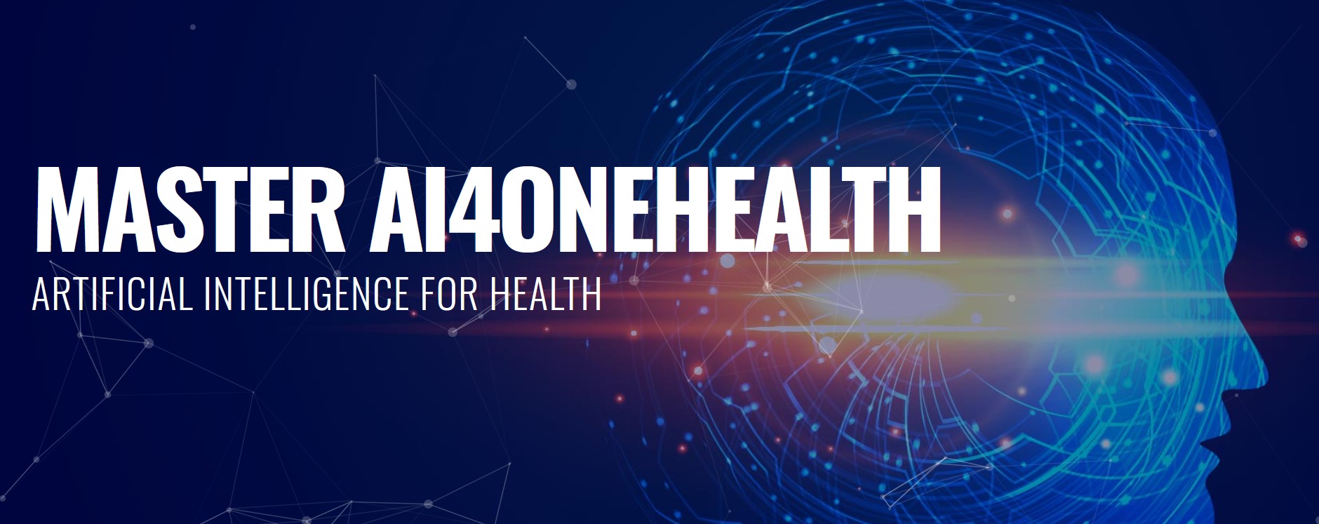 masterai4onehealth 