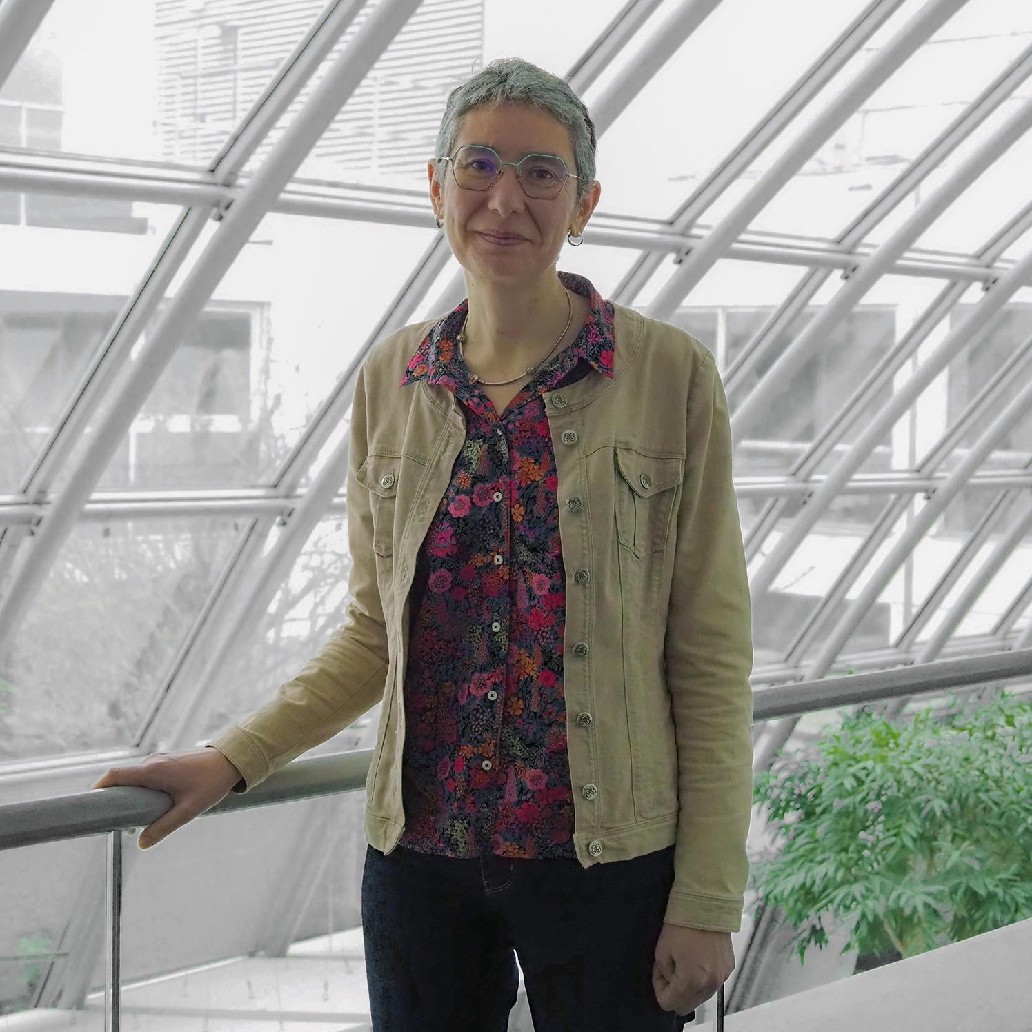 Sophie Achard : MIAI Scientific Director and CNRS Research Director. In charge of the MIAI scientific board.  