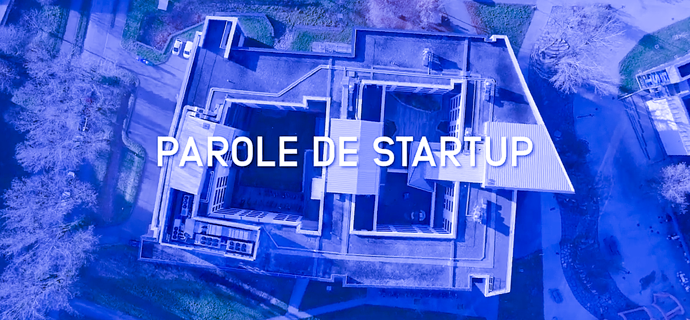 Parole de startup